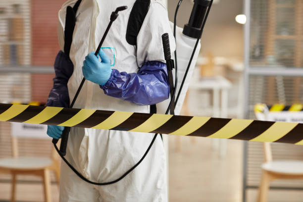 Professional Sewage Cleanup technician working in Botkins, OH